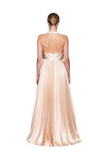 cecilia maxi dress back